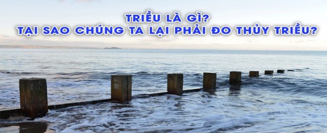 do thuy trieu