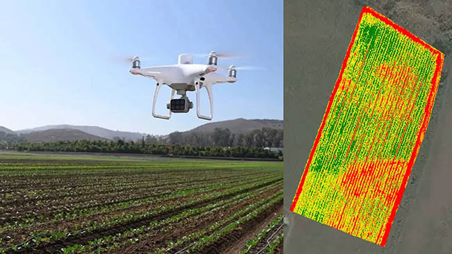 Phantom 4 Multispectral được ứng dụng phổ biến trong môi trường và nông nghiệp.