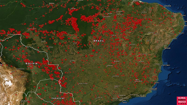 GIS ứng dụng trong cảnh báo và quản lý cháy rừng.