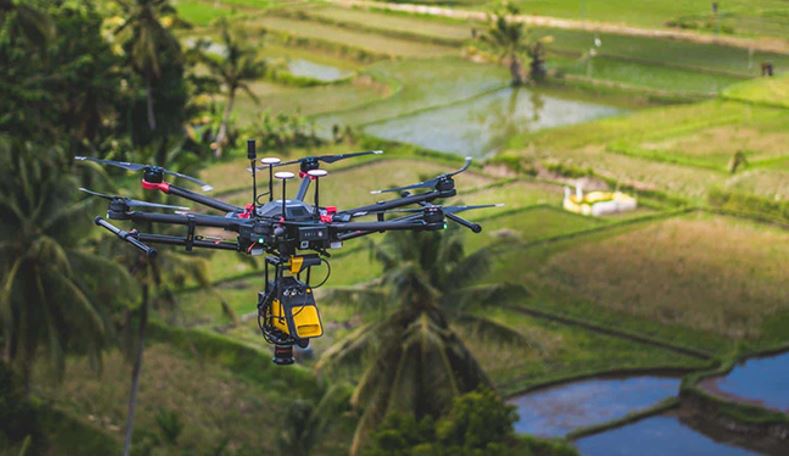 Lập bản đồ lâm nghiệp chính xác cao nhờ LiDAR UAV