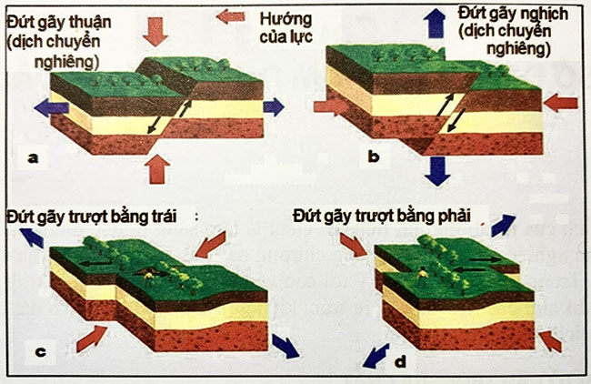 Tầng địa chất là gì? Hiện tượng đứt gãy tầng địa chất