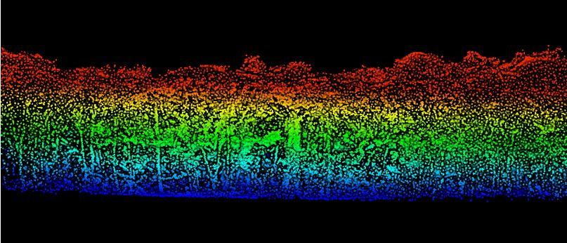 Giải pháp kết hợp LiDAR UAV và LiDAR SLAM trong khảo sát lâm nghiệp