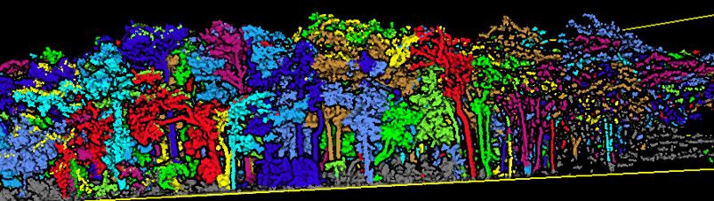 Giải pháp kết hợp LiDAR UAV và LiDAR SLAM trong khảo sát lâm nghiệp