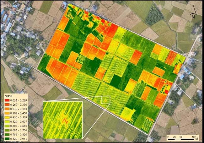 Chỉ số NDVI là gì? Vai trò của NDVI trong nông nghiệp