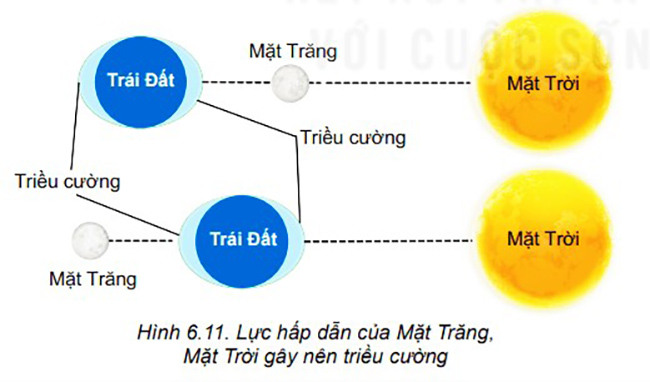 Biên độ triều là gì? Vì sao phải theo dõi biên độ triều?