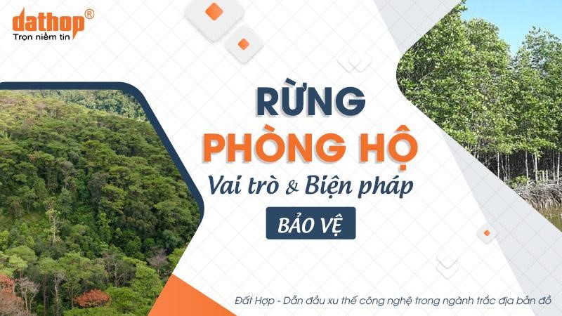 Rừng phòng hộ: Vai trò và biện pháp bảo vệ