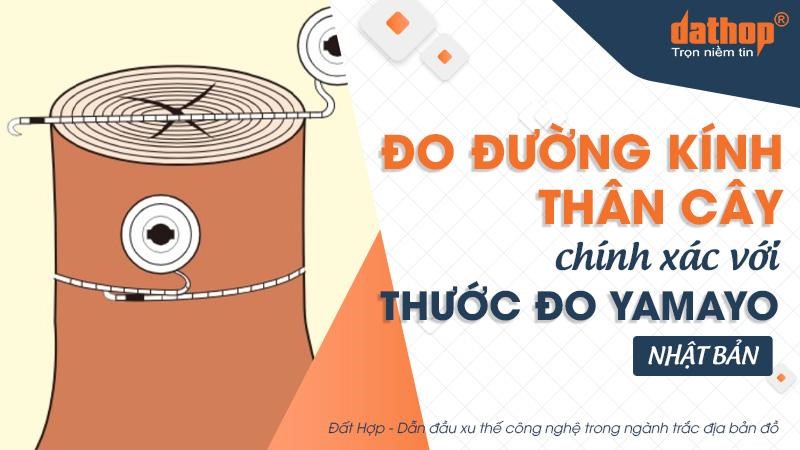 Đo đường kính thân cây chính xác với thước đo Yamayo, Nhật Bản